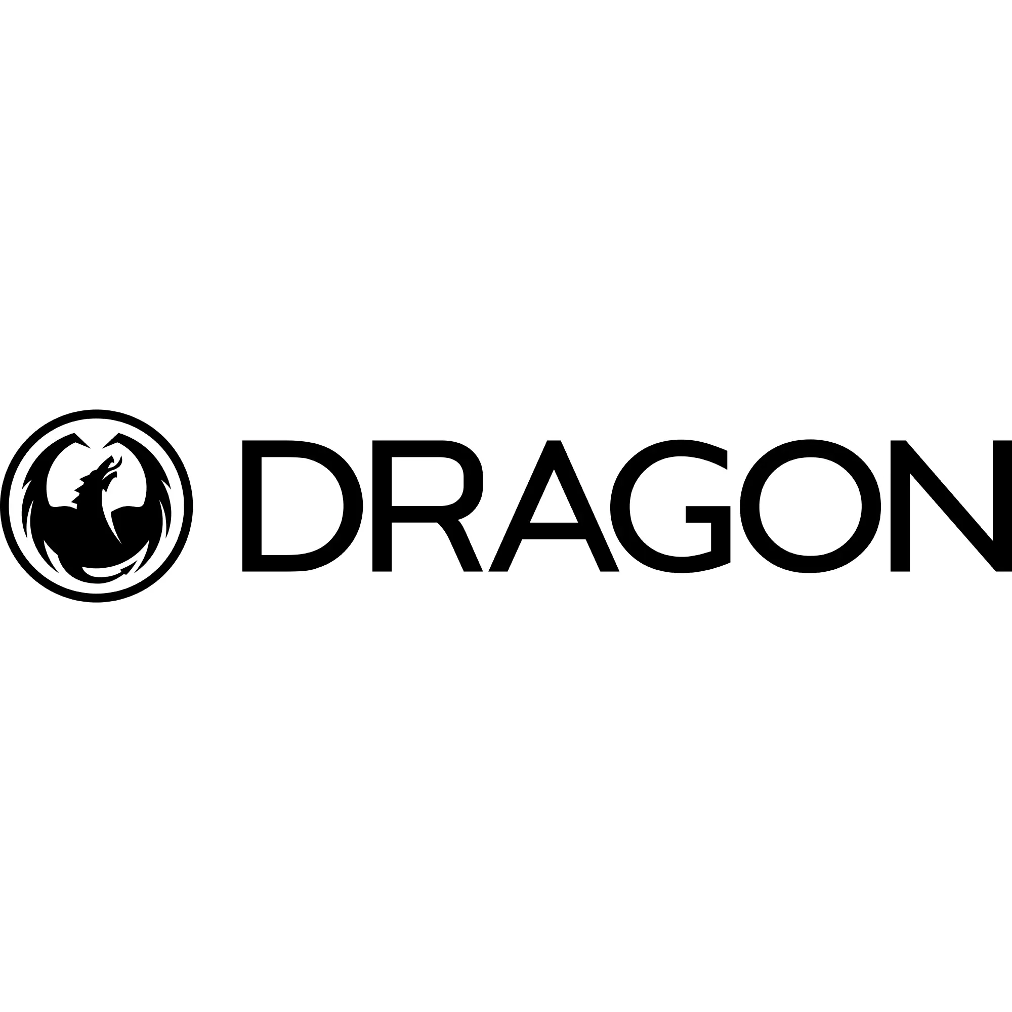 DRAGON GOGGLES